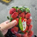 은혜과일야채 이미지