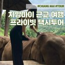 치앙마이 근교 여행 - 프라이빗 택시투어ㅣ사이프레스레인 엘리핀팜 몬쨈 플레르카페 왓파랏 도이수텝