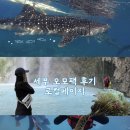 용서폭포 | 필리핀 세부 오슬롭 모알보알 투어ㅣ로컬페이지 내돈내산 후기