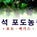 축석포도농원 이미지