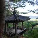 다산 이미지