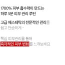 폴스킨