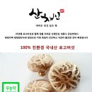 송산표고버섯