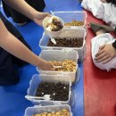 펀 태권도장 이미지