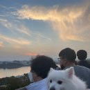 한강세무회계 이미지