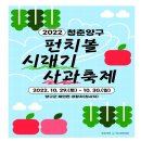 양구펀치볼사과 이미지