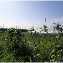 노암농장 이미지