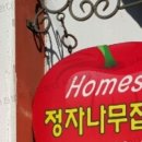 약나무집 민박 이미지