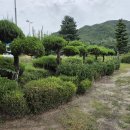 월곡초등학교삼계분교장 이미지