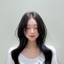 에이치파마