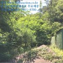 석모3리(장암) 경로당 | ##인천 강화군토지(전)경매-2019타경513190, 강화군 토지(전)경매>인천 강화군 삼산면 석모리