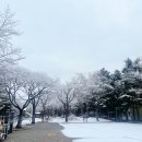 밤리1275