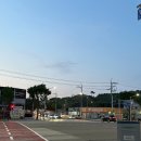 대구 순대트럭 너구리순대 예약제 모듬순대 내돈내산 후기(위치:대구 알파시티)