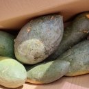 진가네농장 이미지