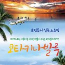 (주)아일랜드투어여행사