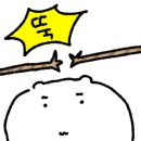 꾸꾸치킨 이미지