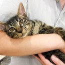 나무마당 이미지