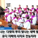 "아이 엠(I AM)"- 251116 주일 오전 예배 할렐루야 찬양대 이미지