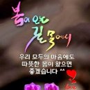 한서SS기