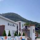 오시다(OSIDA) 이미지