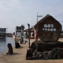 비양도의 비양나무자생지 이미지