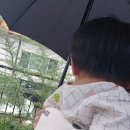 강성한의원 | 포항 북구 소담한방병원 (교통사고입원)