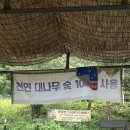 송하 | [순천] 청소골 닭구이 맛집 / 어른아이 다 만족하는 물깊이/ 내돈내산후기 &lt;송하가든&gt;