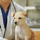 오류동물병원 이미지