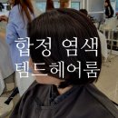 합정역(6) | 합정역 미용실 템드헤어룸 루다쌤 클리닉 염색 후기!