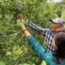 수동면사무소 이미지