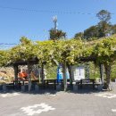 대항새바지동굴앞 이미지