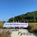 영암드론
