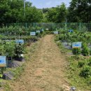 유성농장 2 이미지