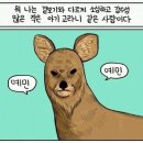 카페그레아뜰리에 | [호주워홀 day212-213] 이걸 여행이라고 부르는게 맞아? 타즈매니아 로드트립_03