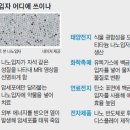 [사람 이야기] 한국을 먹여 살릴 과학자, 서울대 현택환 교수 이미지