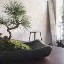 해송가든 이미지