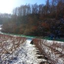 천마농장 이미지