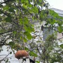 청계산로1-9 이미지