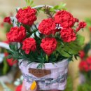 봉황지역아동센터 이미지