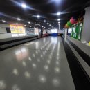 용인대 블랙벨트 태권도 이미지