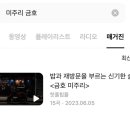 금호 미주리