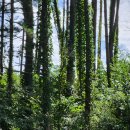 호정커피숍 이미지