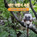 준호카서비스 | 대만 여행 가볼만한 곳 타이베이 시립 동물원 후기 관람시간