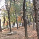 장성아파트 앞 이미지