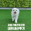 제제네 멍치원 이미지