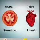 우리건강식품 이미지