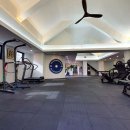 더 스탠다드 짐 이미지