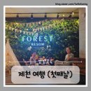 비헤브 | 제천 여행 첫째 날(리솜 레스트리/더그릴720/헤브나인 스파)