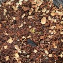 엄나무민박 이미지