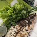 여행 일정, 맛집 추천, 넷째날 리뷰, 찡짜이마켓, 그라치에, 싱글오리진커피, 왓우몽, 도이수텝...